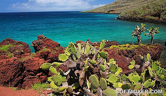 galapagos-48686241 galapagos-48686241