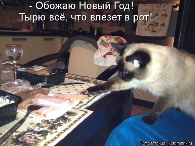 Котоматрицы для подзарядки позитивом))) Котоматрицы для подзарядки позитивом)))