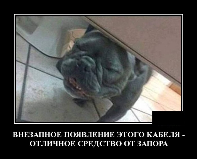 Демотиваторы Демотиваторы