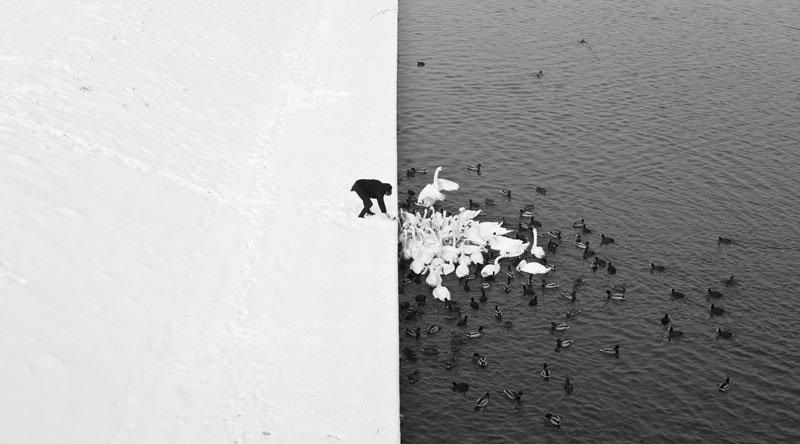 winter-contrast-in-krakow-poland-black-and-white