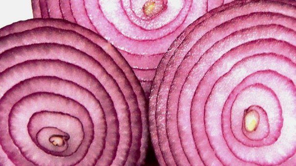 Эти болезни лук лечит лучше таблеток, изображение №1