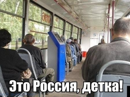 Итак…. в одном лесу Итак…. в одном лесу