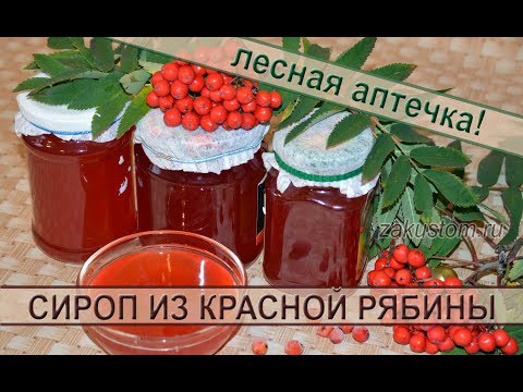 Осенние дары природы: сироп из красной рябины Осенние дары природы: сироп из красной рябины