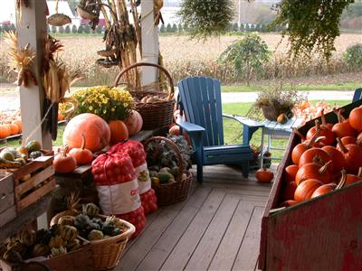 Высокие цены на удобрения грозят дефицитом основных зерновых культур в мире - генсек ООН Высокие цены на удобрения грозят дефицитом основных зерновых культур в мире - генсек ООН