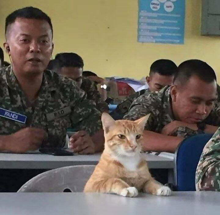 25 странных фотографий, которые веселят до слёз и оставляют после себя много вопросов мозговзрывные фото, странные фотографии, необъяснимые фотографии, фотографии сложно объяснить