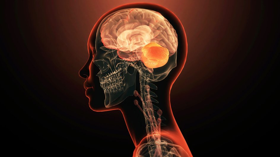 Исследователи обнаружили ранние изменения мозга, связанные с развитием психоза