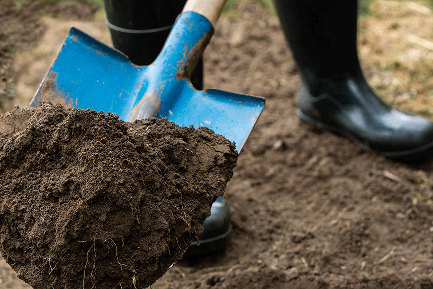 shoveling dirt