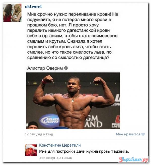 Убойная подборочка прикольных комментариев из соц.сетей, СМС Убойная подборочка прикольных комментариев из соц.сетей, СМС