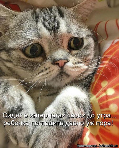 Самые уморительные котоматрицы) Самые уморительные котоматрицы)