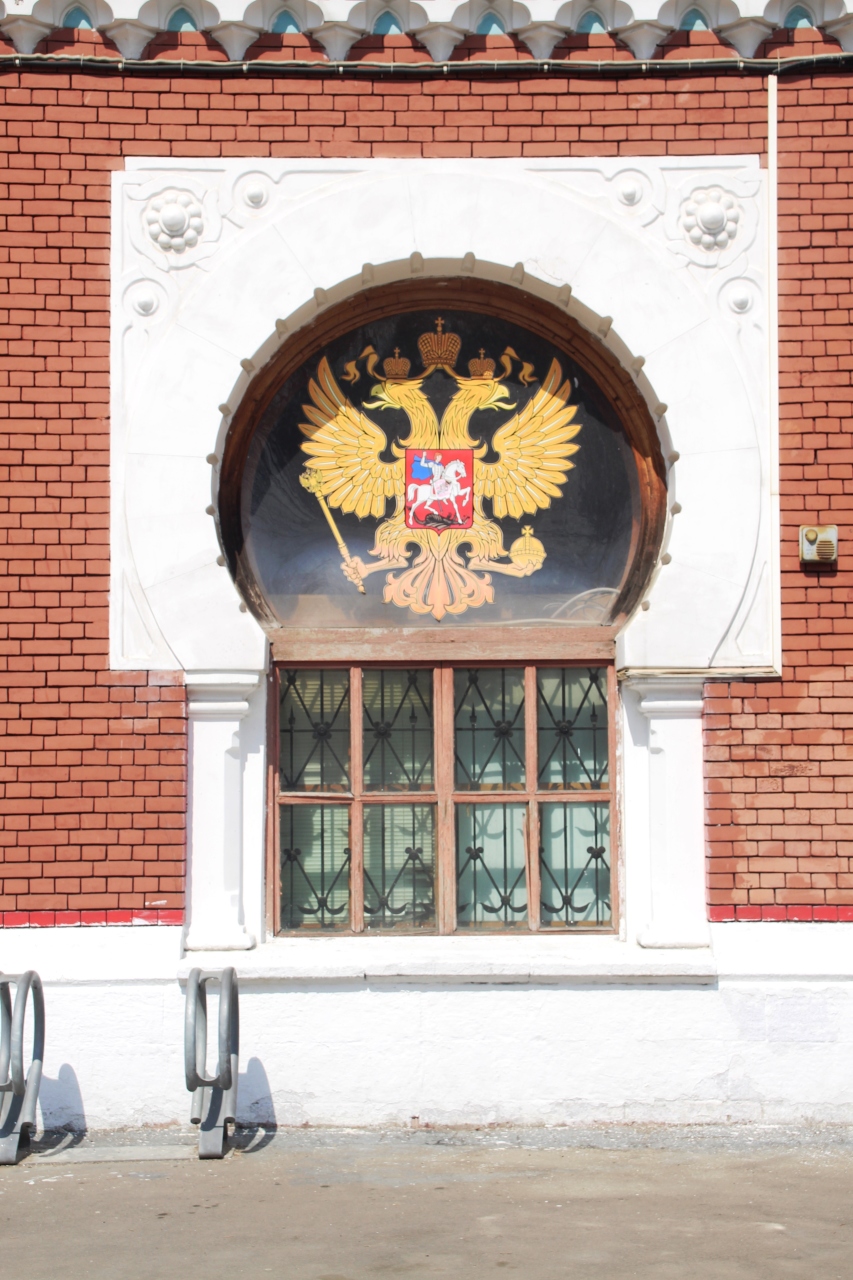 Московские птички 17