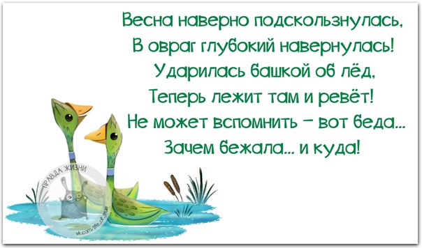 Прикольные фразочки в картинках