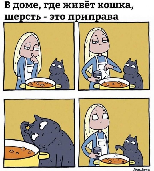 Немного котиков совсем не страшных )) Немного котиков совсем не страшных ))