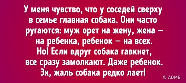 Соседи и тонкие стены Соседи и тонкие стены