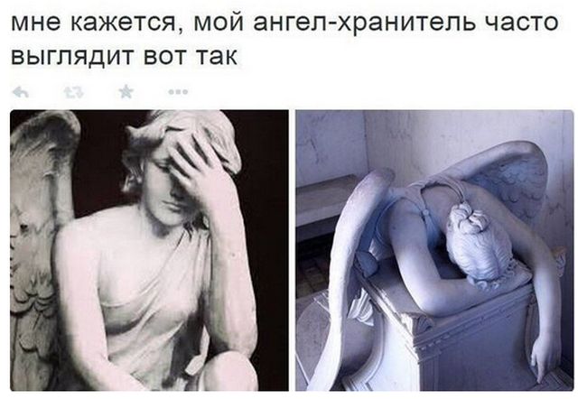 Веселые картинки и смешные фото с надписями (11 фото) Веселые картинки и смешные фото с надписями (11 фото)