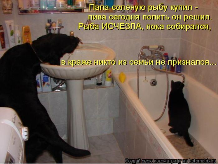Мысли вслух :)