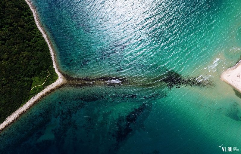 Приморский край- остров Петрова, Тисовая роща Приморский край, Тисовая роща, остров Петрова, россия