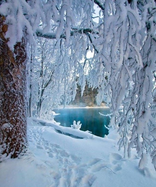 зимняя природа фото – 24