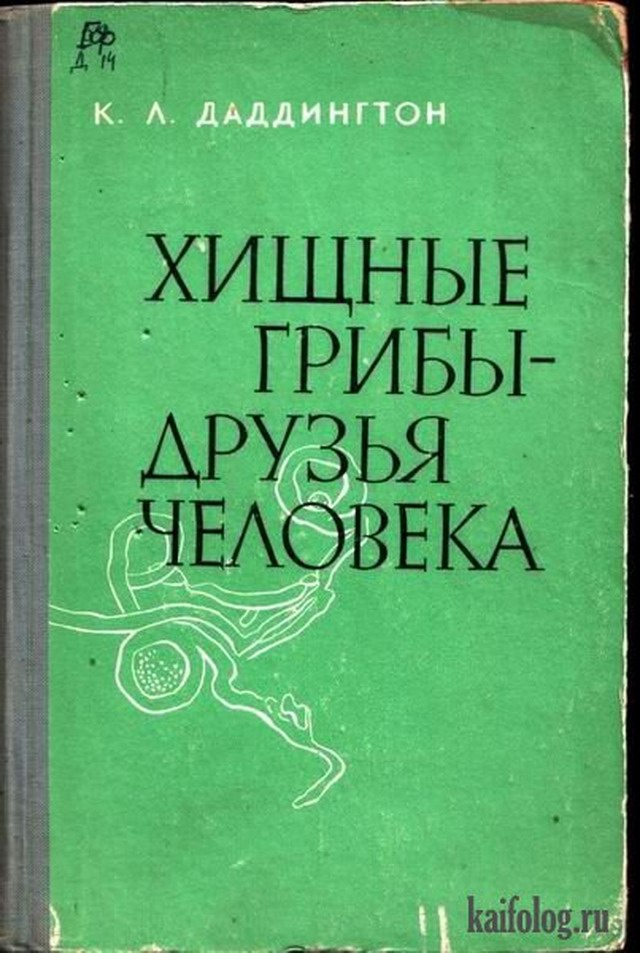 Чисто русские фото (80 фото) - Смешной Чисто русские фото (80 фото) - Смешной