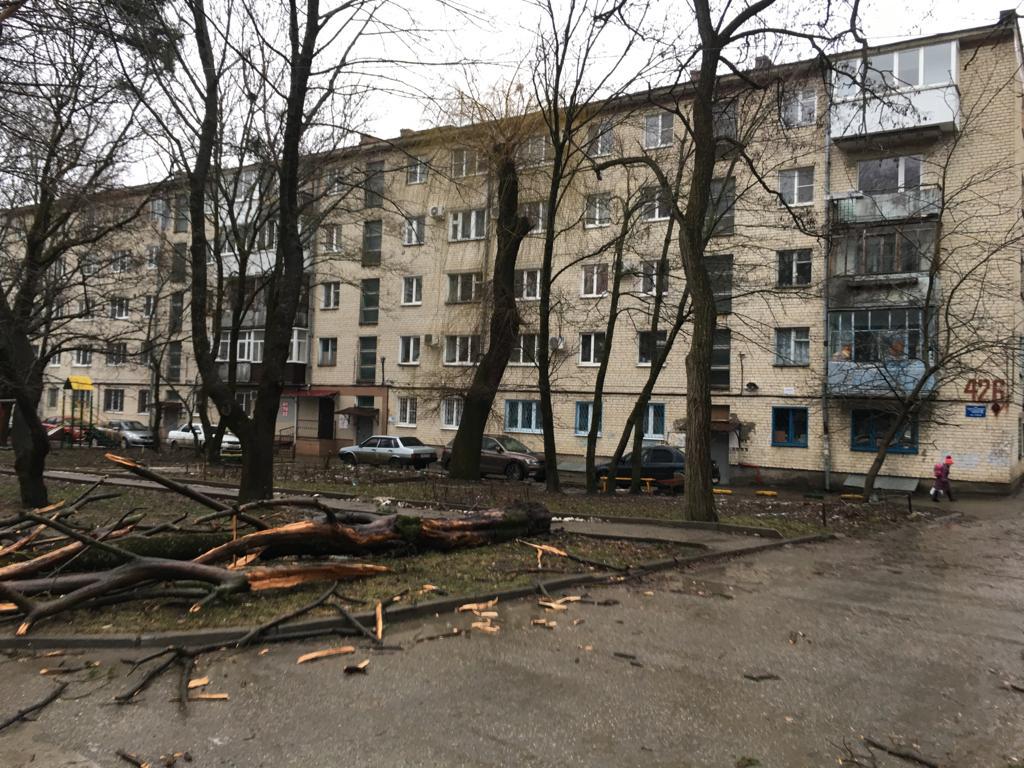 Режим ЧП объявлен в Ставрополе в связи с ураганом (ФОТО, ВИДЕО)