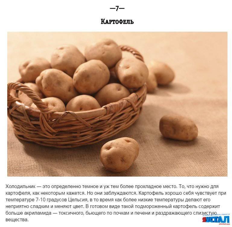 ПРОДУКТЫ, КОТОРЫЕ НЕЛЬЗЯ ХРАНИТЬ В ХОЛОДИЛЬНИКЕ