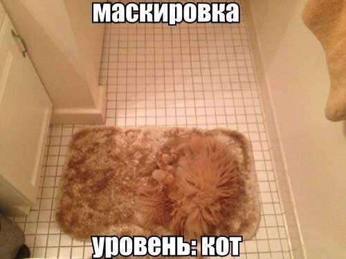 Интересные и смешные анекдоты с картинками