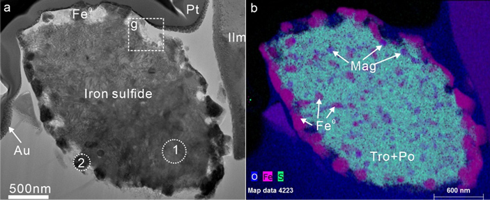 Рис. 2. Изображения зерна сульфида железа, полученные методами просвечивающей электронной микроскопии и рентгеноспектрального микроанализа
