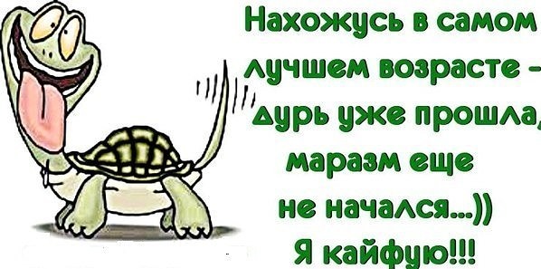 Сидят в баре звери. Вдруг заяц открывает дверь пинком, подходит ко льву и говорит...