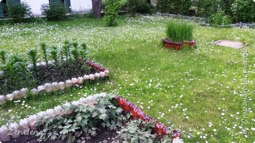 Обещала очередную часть из серии НИЧЕГО НЕ ВЫБРАСЫВАЕМ, но подоспел дачный сезон, и на первый план вышли сельскохозяйственные хлопоты, а с ними и очередные приспособления-изобретения. Писала в прошлом году осенью, но только сейчас руки дошли все упорядочить, фотографии обработать и разместить на сайте. Так что получились воспоминания и рекомендации в одном посте. фото 18