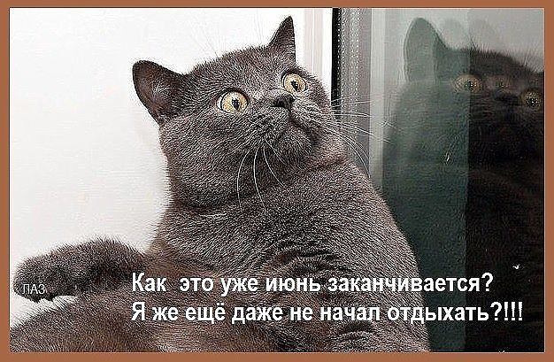 РАЗГРУЗОЧНЫЙ ДЕНЬ. (весёлая подборка картинок)))