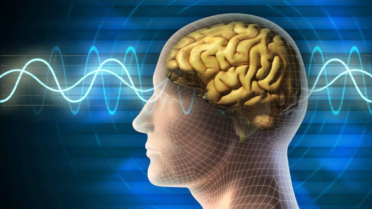 Ученые объяснили, почему мозг человека запрограммирован избегать физической активности