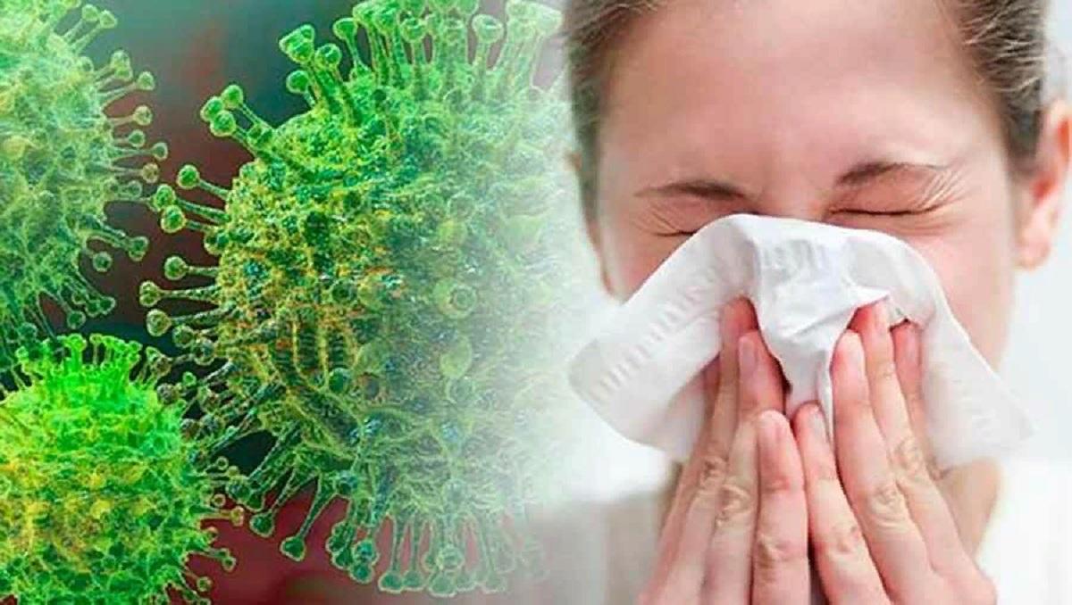 Тест: А вы защищены от коронавируса?