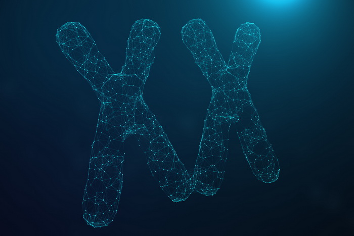 Science Advances: молчащая Х-хромосома повышает устойчивость женского мозга