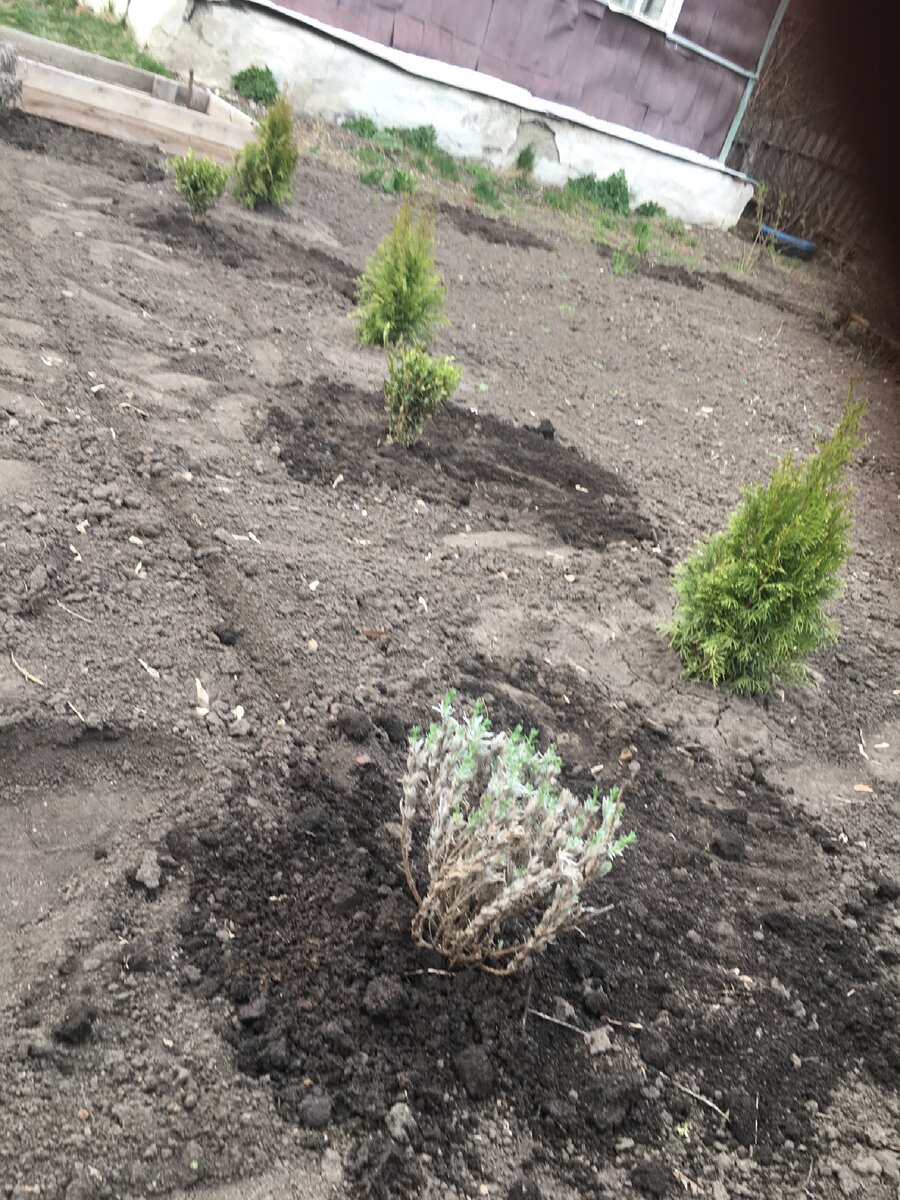 Я больной человек