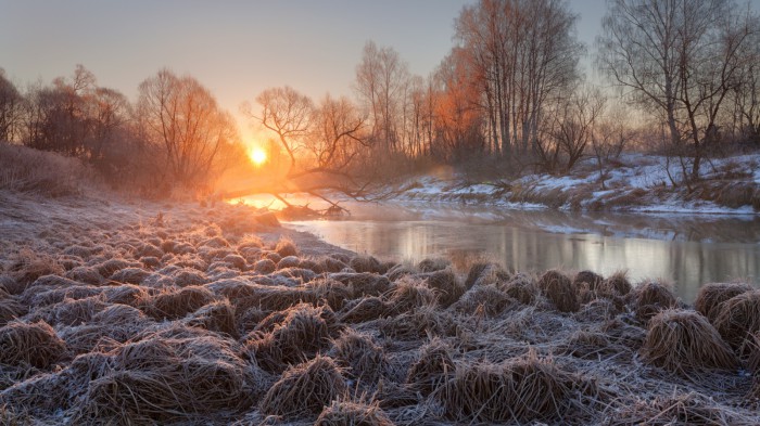 Утренний заморозок. Автор фотографии: Сергей Ершов. 30 самых интересных и удивительно красивых снимков от российских фотографов клуба Russian Photo Club