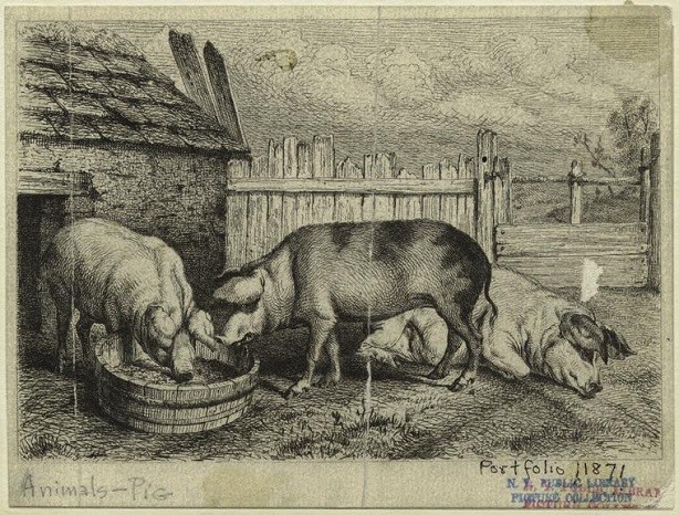 Как зюзя пьяный русские, смысл, фразы