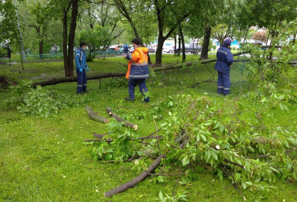 В Алтуфьеве устранили последствия непогоды