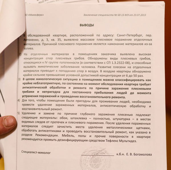 Результат микоанализа плесени