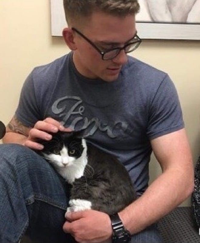 Кота гладят Парень и кот