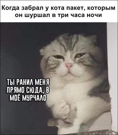 РАЗГРУЗОЧНЫЙ ДЕНЬ. (весёлая подборка картинок)))