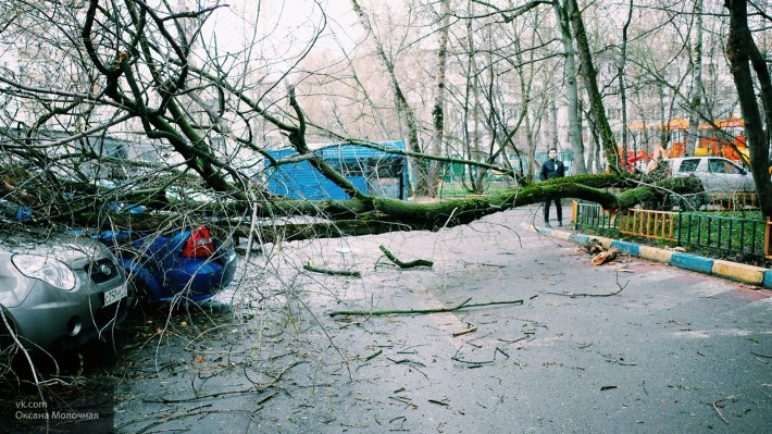 Ураган из ЦФО приближается к Нижегородской и Кировской областям