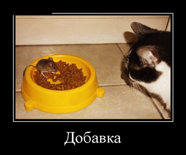 Демотиваторы, мно-о-о-ого, отличной подборочкой для зарядки позитивом на весь день! Демотиваторы, мно-о-о-ого, отличной подборочкой для зарядки позитивом на весь день!