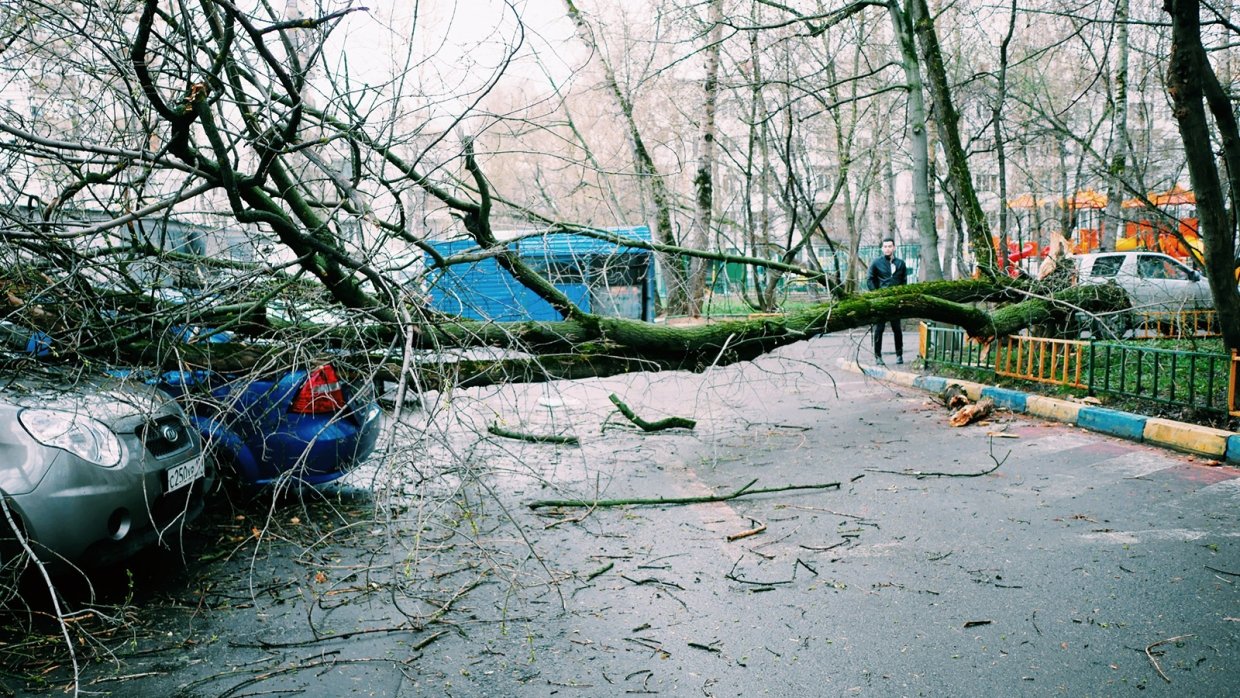 МЧС предупредило москвичей об угрозе нового урагана
