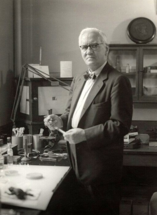 Александр Флеминг. / Фото: www.kakprosto.ru Александр Флеминг. / Фото: www.kakprosto.ru