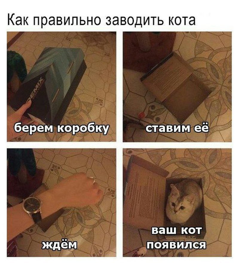 Пятничная подборка интернет-приколов для разгрузки мозга Пятничная подборка интернет-приколов для разгрузки мозга