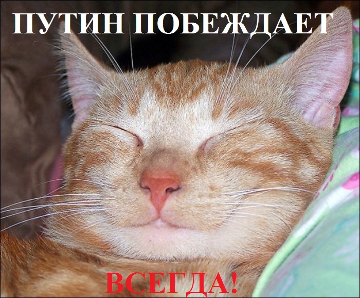 Путисливщикам. Путисливщикам.