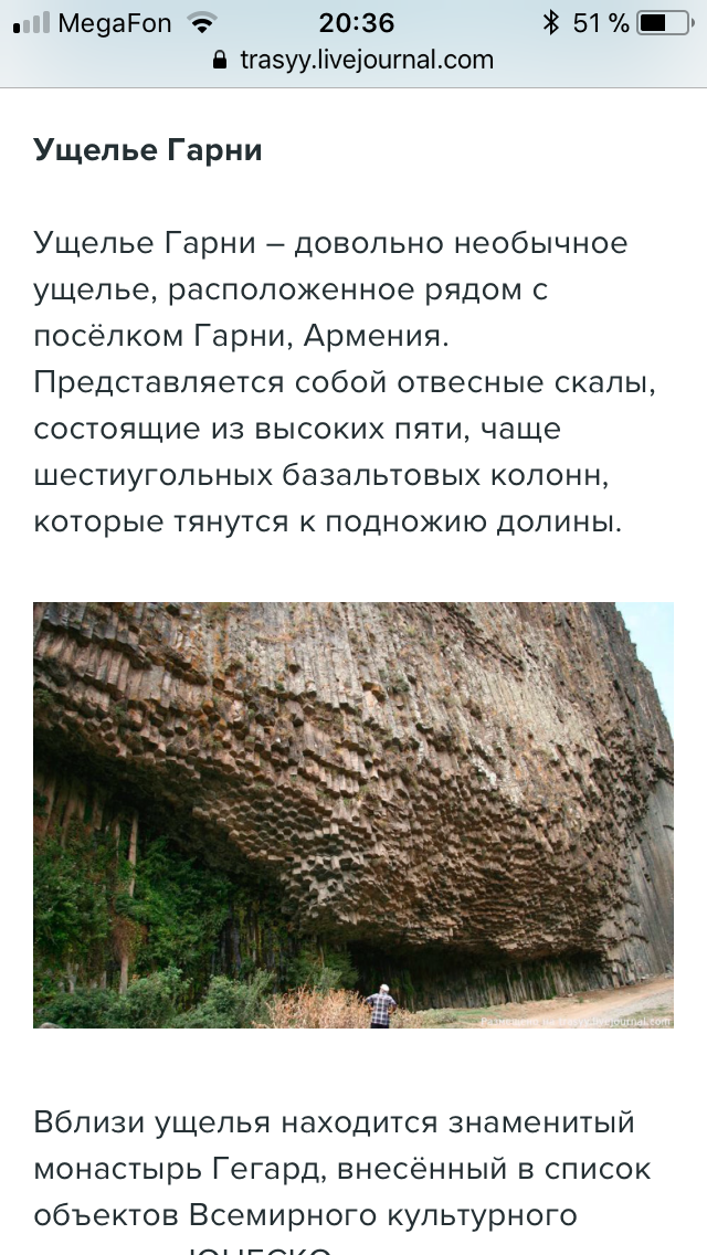 Когда то деревья были ОГРОМНЫМИ!