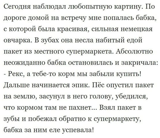 15 самых интересных смешных и не очень коротких жизненных историй с просторов интернета 15 самых интересных смешных и не очень коротких жизненных историй с просторов интернета