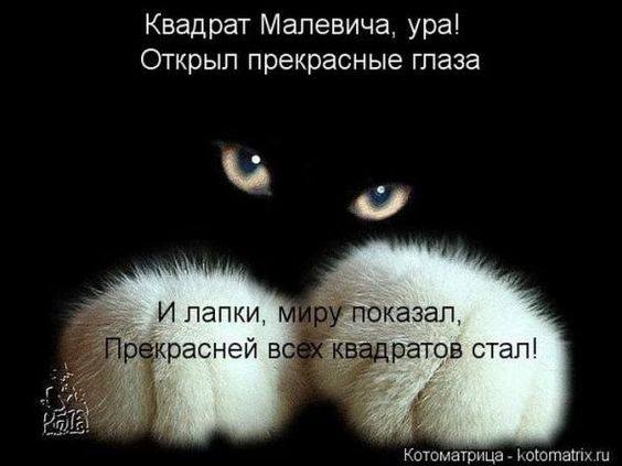 РАЗГРУЗОЧНЫЙ ДЕНЬ. (весёлая подборка картинок)))