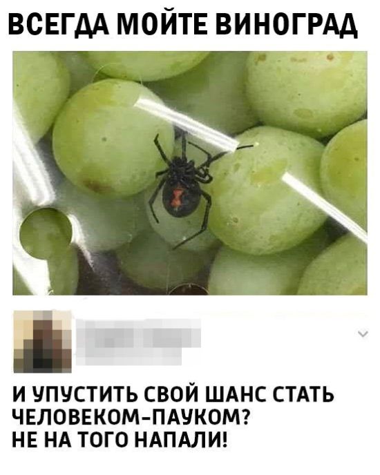 Подборка забавных и прикольных картинок с надписями (11 фото) Подборка забавных и прикольных картинок с надписями (11 фото)