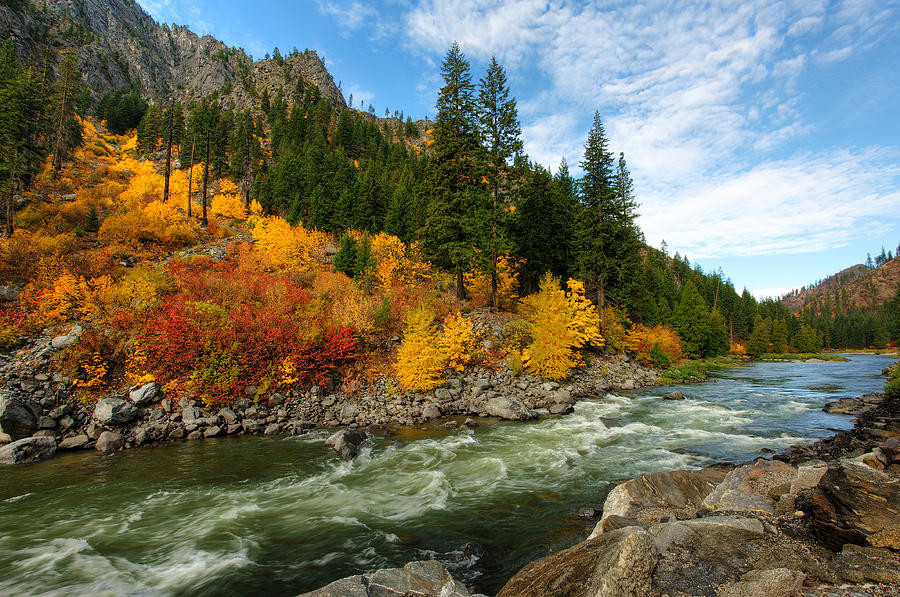 beautiful-autumn-dan-mihai.jpg beautiful-autumn-dan-mihai.jpg